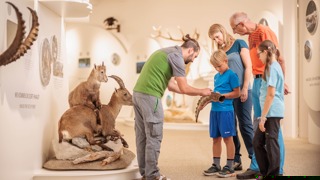 Im BIOS Nationalparkzentrum Mallnitz erkl&auml;rt ein Ranger den Besuchern die Ringe auf einem Steinbockhorn