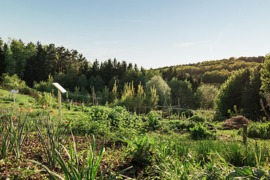 Gartenf&uuml;hrung im hoteleigenen Permagarten