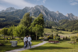 Drei K&ouml;che spazieren im Sommer zum Kr&auml;utergarten, umgeben von gr&uuml;nen Wiesen, im Hintergrund Bergkulisse.
