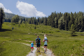 Zwei Erwachsene und zwei Kinder wandern im Sommer, umgeben von gr&uuml;nen Wiesen und B&auml;umen.