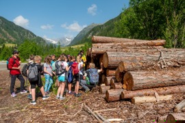 Nationalpark Ranger zeigt einer Schulklasse den Aufbau eines Baumstammes