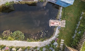 Biotop im Gemeinschaftsgarten