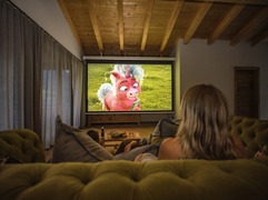 Heimkino in der Main Lodge mit gratis Netflix 