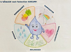 Unsere f&uuml;nf S&auml;ulen nach Sebastian Kneipp