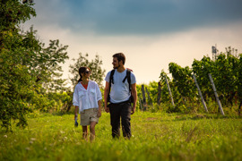 Wandern im Weingebirge