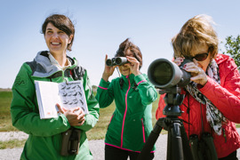 gef&uuml;hrte Tour im Nationalpark Neusiedler See - Seewinkel
