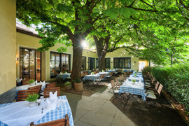 Schattiger Gastgarten des Hotel Sailer mit gedeckten Tischen unter großen, grünen Kastanienbäumen. Schattiger Gastgarten des Hotel Sailer mit gedeckten Tischen unter großen, grünen Kastanienbäumen.