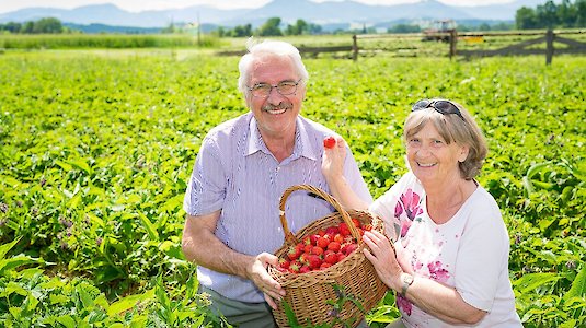 Paar mit Korb voller Erdbeeren