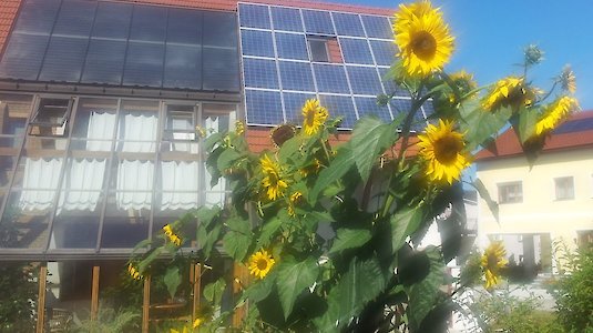 Sonnenblumen vor einem Solardach