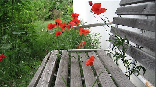 Bank im Garten des Bildungshauses Arbogast