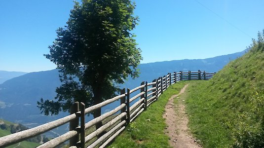 Wanderweg in den Alpen