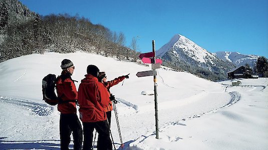 Winterwanderer der Au Schoppenau