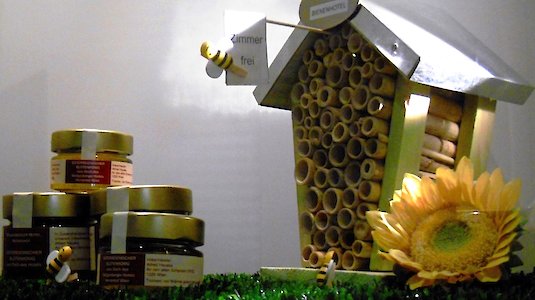 Die Bienenvölker des Steigenberger Hotels sind der große Star