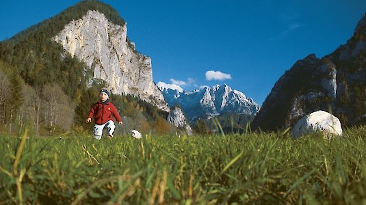 Nationalpark Gesäuse