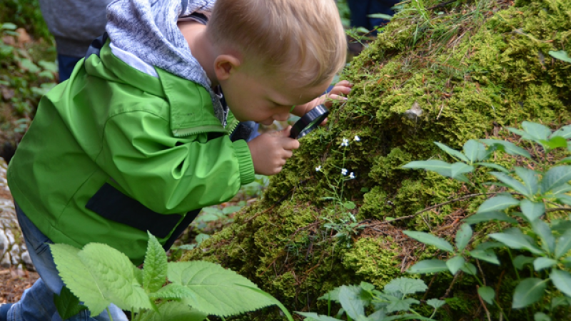 Bub untersucht mittels Lupe den Waldboden