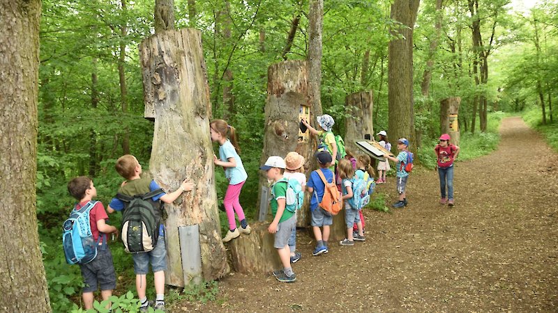 Kinder beobachten Bäume