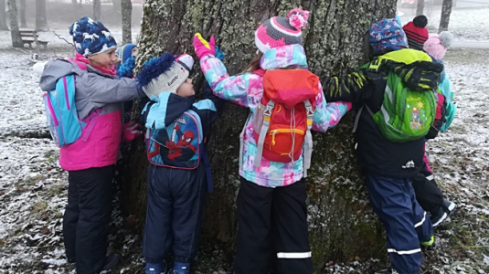 Kinder halten einen Baum