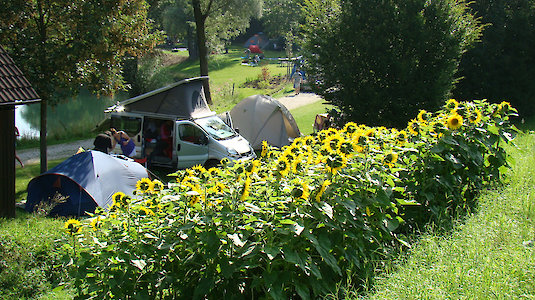 Camping Au an der Donau Blumenflächen