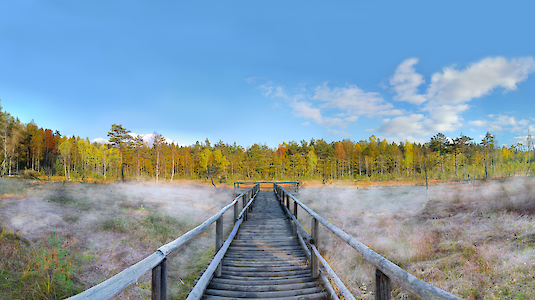 Das Heidenreichsteiner Moor am Prügelsteg (NÖ). Copyright by Horst Dolak.