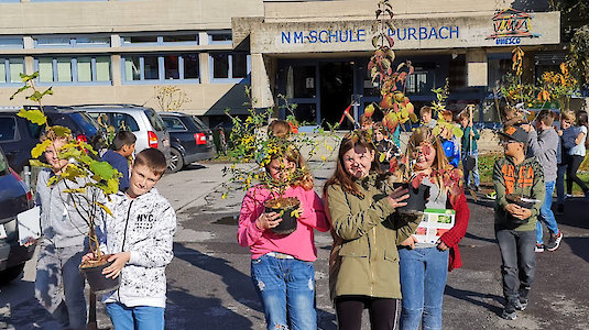 Die Pflanzen für die 10-Jahreszeiten-Hecke. Copyright by MS Purbach.