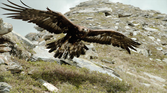 Universum Nature Heritage Austria. Copyright by ORF.