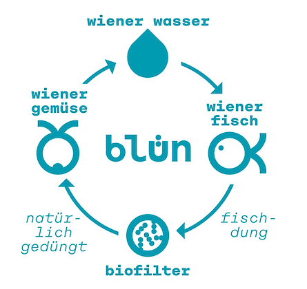 Circularity at blün. Copyright by blün.