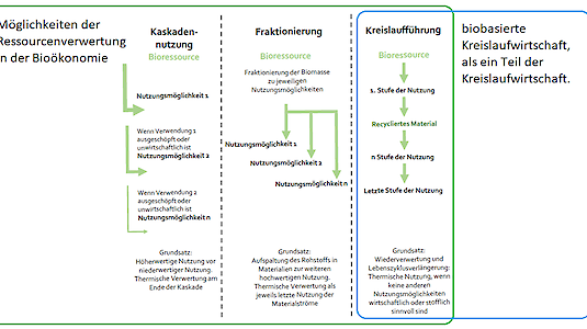 Ressourcenschonende Verwertung. Quelle: Bioökonomie - Eine Strategie für Österreich 2019.