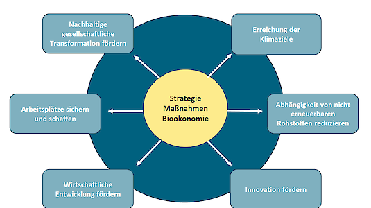 Darstellung der Zielfelder der österreichischen Bioökonomiestrategie. Quelle: Bioökonomie - Eine Strategie für Österreich 2019.