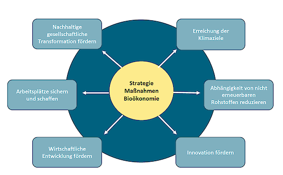 Darstellung der Zielfelder der österreichischen Bioökonomiestrategie. Erreichung der Klimaziele.