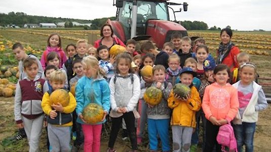 Children with pumpkins. Copyright VS Rotenturm.