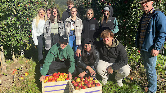 HAK Lienz harvesting apples. Copyright by HAK Lienz.