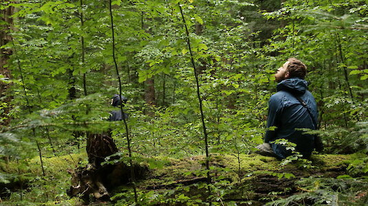 Stilles Sitzen im Wald. Copyright by Bernd Pfleger.