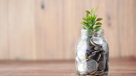 Coin collection from which a plant grows. Copyright by Unsplash/Towfiqu barbhuiya.