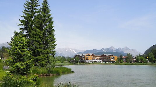 Lake with trees. Copyright by Elena Paschinger.