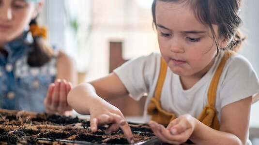 Kinder beim Anbauen von Pflanzen